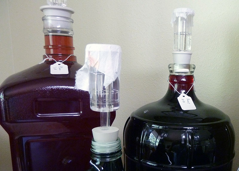 Head space in carboy Homebrew Talk Beer, Wine, Mead, & Cider